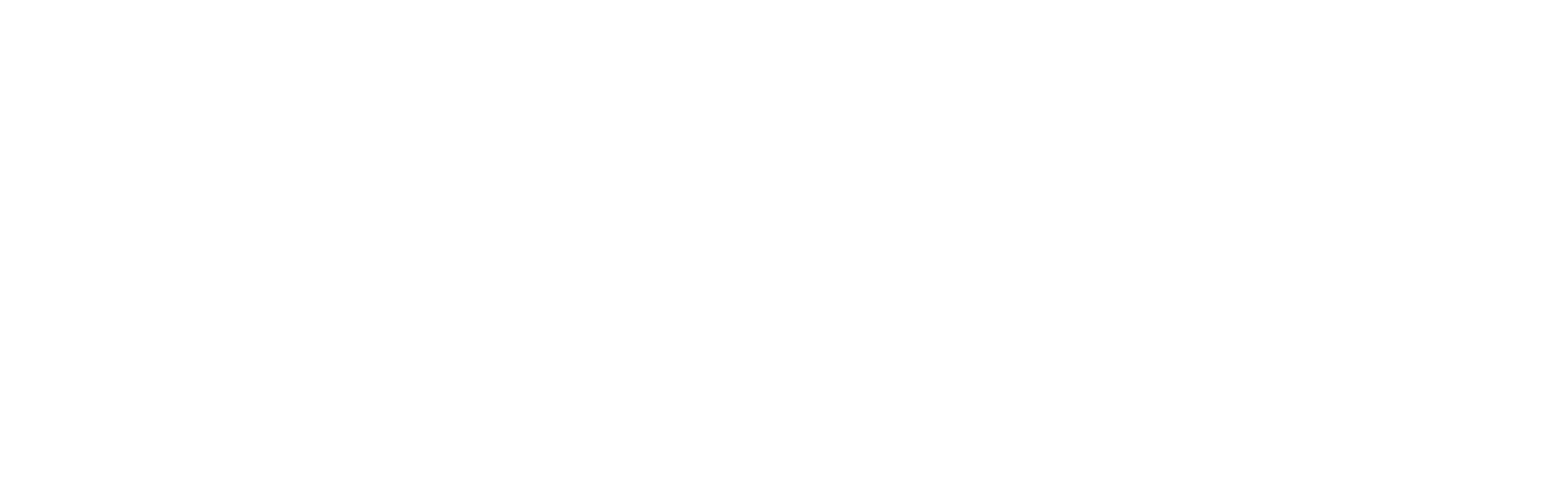 Raise the roof academy